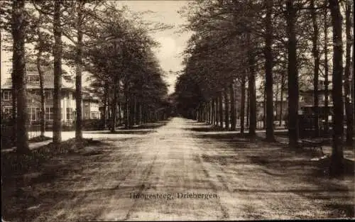 Ak Driebergen Utrecht Niederlande, Hoogesteeg