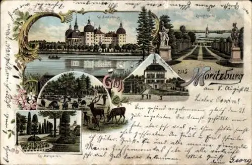 Litho Moritzburg in Sachsen, Königliches Jagdschloss, Leuchtturm, Hofgarten, Fasan Palais, Hirsche