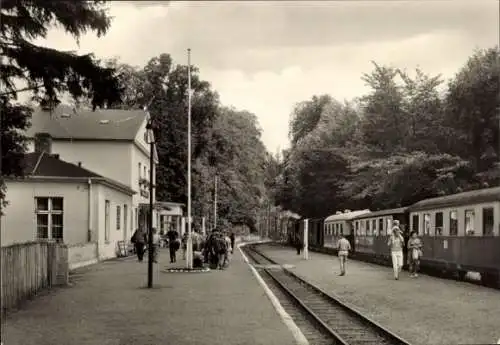 Ak Heiligendamm Bad Doberan, Bahnhof mit Bäderbahn Molli, Gleisseite