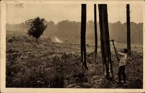 Ak Les Landes de Gascogne, Le Resinier bei der Arbeit