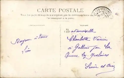 Foto Ak Schafe im Gehege, Tiere