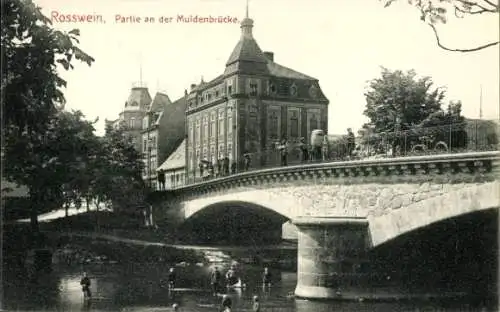Ak Roßwein in Sachsen, Partie an der Muldenbrücke