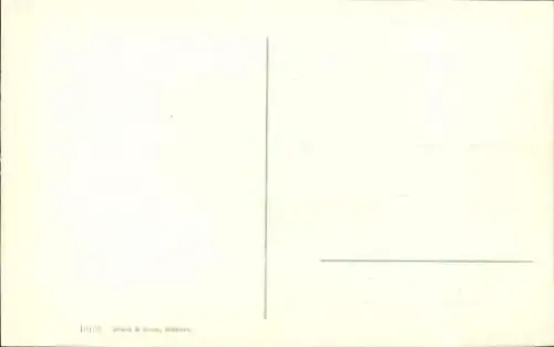 Ak Roßwein in Sachsen, Partie an der Muldenbrücke