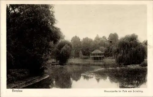 Ak Szczytniki Scheitnig Wrocław Breslau Schlesien, Wasserpartie im Park