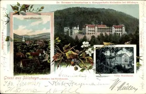 Ak Sülzhayn Ellrich Thüringen, Sanatorium Dr Kremser, Dorf, Villa Waldhaus