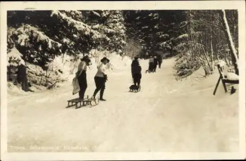 Ak Titisee Neustadt im Breisgau Hochschwarzwald, Rodelbahn, Winter