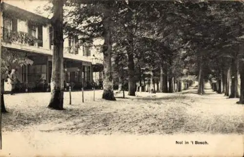 Ak Wageningen Gelderland Niederlande, Nol in 't Bosch