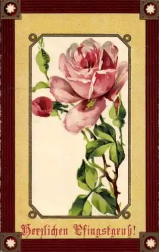 Präge Passepartout Ak Glückwunsch Pfingsten, Blühende Rose