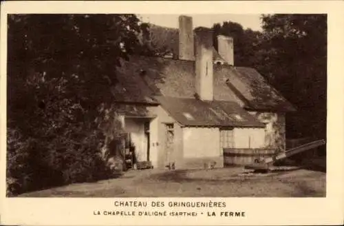 Ak La Chapelle d'Aligne Sarthe, Chateau des Gringuenieres, The Farm