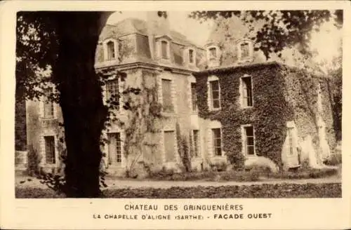 Ak La Chapelle d'Aligne Sarthe, Château des Gringuenières