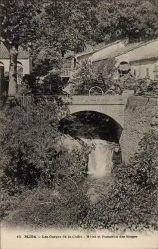 Ak Blida Algerien, Les Gorges de la Chiffa, Hotel und Ruisseau des Singes