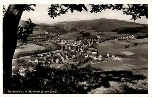 Ak Maumke Lennestadt im Sauerland, Gesamtansicht