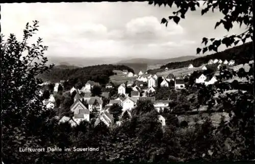 Ak Dahle Altena im Sauerland, Gesamtansicht