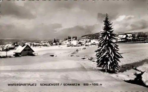 Ak Schluchsee im Schwarzwald, Panorama, Winter