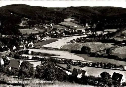 Ak Berlebeck Detmold im Teutoburger Wald, Gesamtansicht