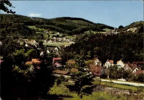 Ak Berlebeck Detmold im Teutoburger Wald, Gesamtansicht, Adlerwarte, Hangstein