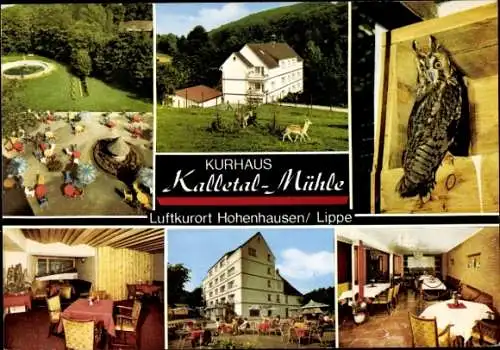 Ak Hohenhausen Kalletal in Lippe, Kurhaus Kalletal-Mühle, Innenansicht, Eule