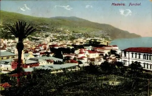 Ak Funchal Madeira Portugal, Panoramablick auf den Ort, Looking East