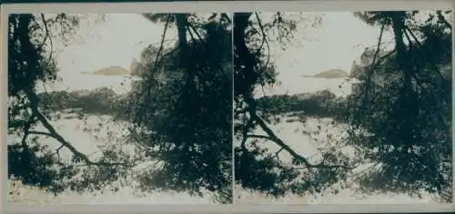 Stereo Foto Südamerika?, Waldpartie, Blick aufs Meer