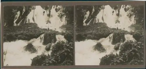 Stereo Foto Jamaika, Wasserfall, Urwald, Dschungel