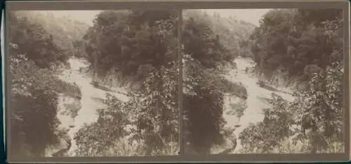 Stereo Foto Jamaika, 1915, Urwald, Fluss