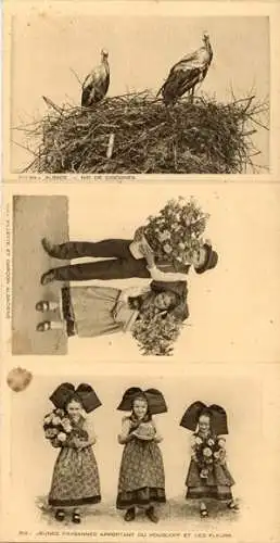 Set von 24 AK (2 Alben I und II  mit je 12 Ak) Kostüme und Szenen aus dem Elsass/costumes et scenes 