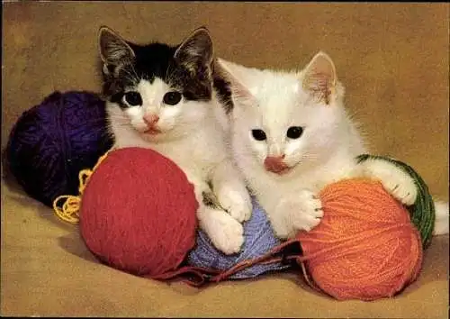 Set von 27 AK Baby Katze, diverse Ansichten