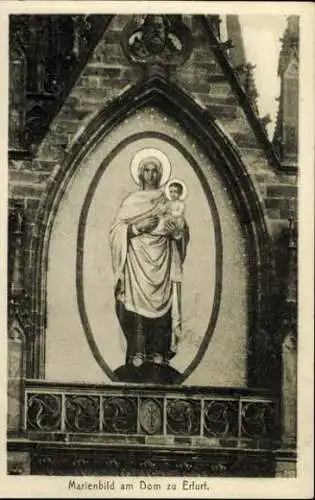 Set von 16 AK Erfurt , diverse Ansichten