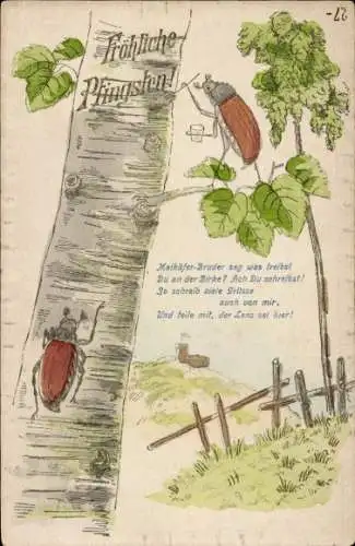 Präge Litho Glückwunsch Pfingsten, Maikäfer, Birke