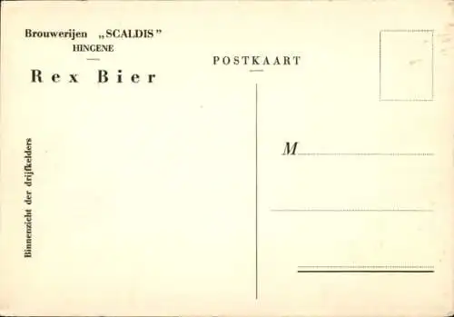 Ak Brouwrijen Scaldis, Hingene, Rex Bier