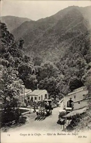 Ak Blida Algerien, Les Gorges de la Chiffa, Hotel und Ruisseau des Singes