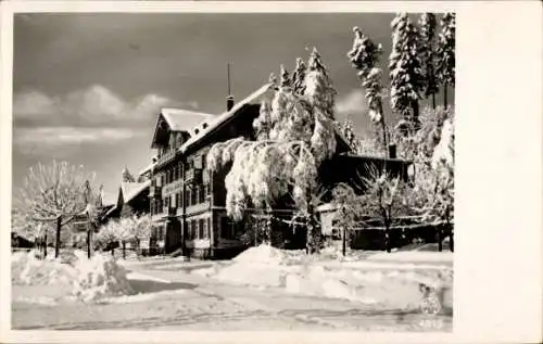 Ak Titisee Neustadt im Breisgau Hochschwarzwald, Hotel Bären, Winter