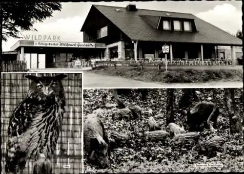 Ak Klotten an der Mosel, Hochwildfreigehege Fr. M. Hennes, Uhu, Wildschweine mit Frischlingen