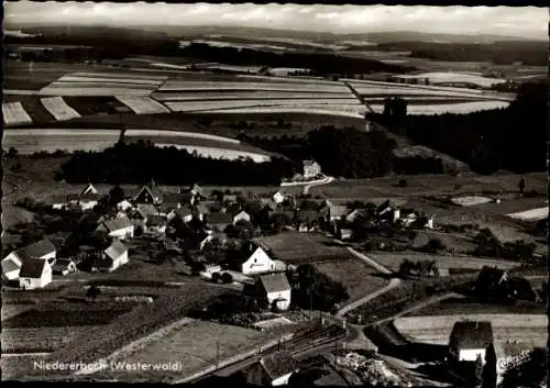 Ak Niedererbach im Westerwaldkreis, Gesamtansicht