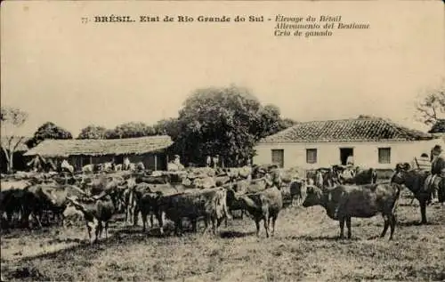 Ak Rio Grande do Sul Brasilien, Viehzucht