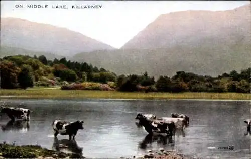 Ak Killarney Irland, Middle Lake