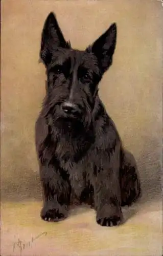 Künstler Ak Bivet, Scotch Terrier