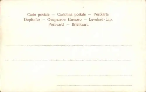 Ak Zweige mit Zitronen