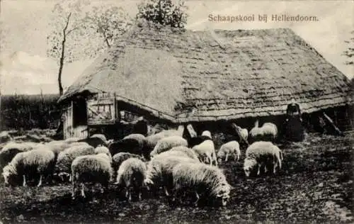 Ak Hellendoorn Overijssel, Schaapskooi
