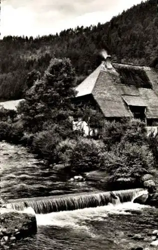 Ak Schwarzwaldhaus, Gutachtal, Fluss