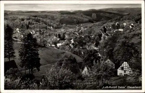 Ak Dahle Altena im Sauerland, Panorama