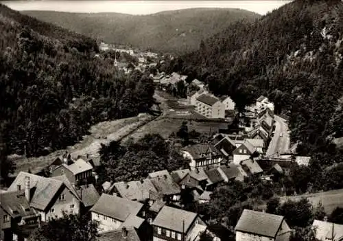 Ak Luisenthal im Thüringer Wald, Panorama