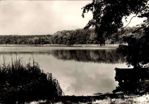 Ak Lychen in der Uckermark, Seeufer