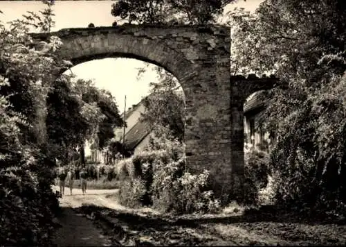 Ak Kloster Insel Hiddensee in der Ostsee, Klosterruine