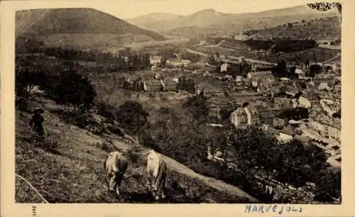 Ak Marvejols Lozère, Kühe, Vogelperspektive