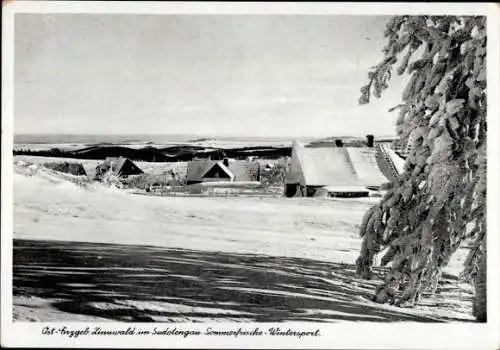 Ak Cínovec Böhmisch Zinnwald Dubí Eichwald Region Aussig, Panorama, Winter