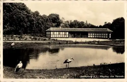 Ak Senftenberg in der Niederlausitz, Eingang zum Tierpark