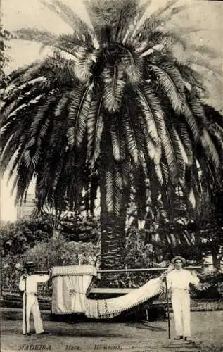 Ak Insel Madeira Portugal, Palme, Hammock