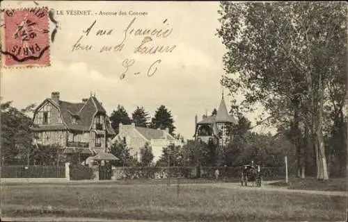 Set von 62 Ak Le Vésinet Yvelines