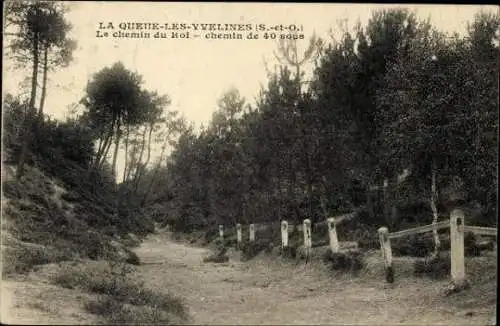 Set von 124 Ak Departement Yvelines, z.B. Versaille, Dampierre etc.